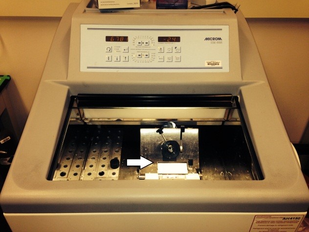 Cryostat showing guards